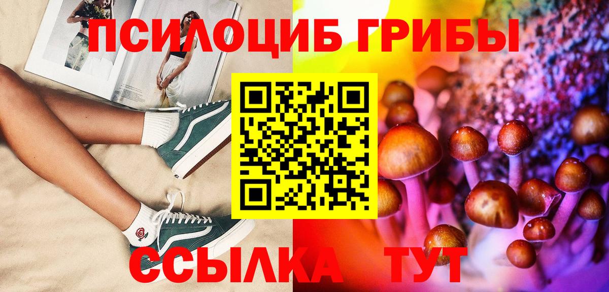 Галлюциногенные грибы Cubensis Тавда