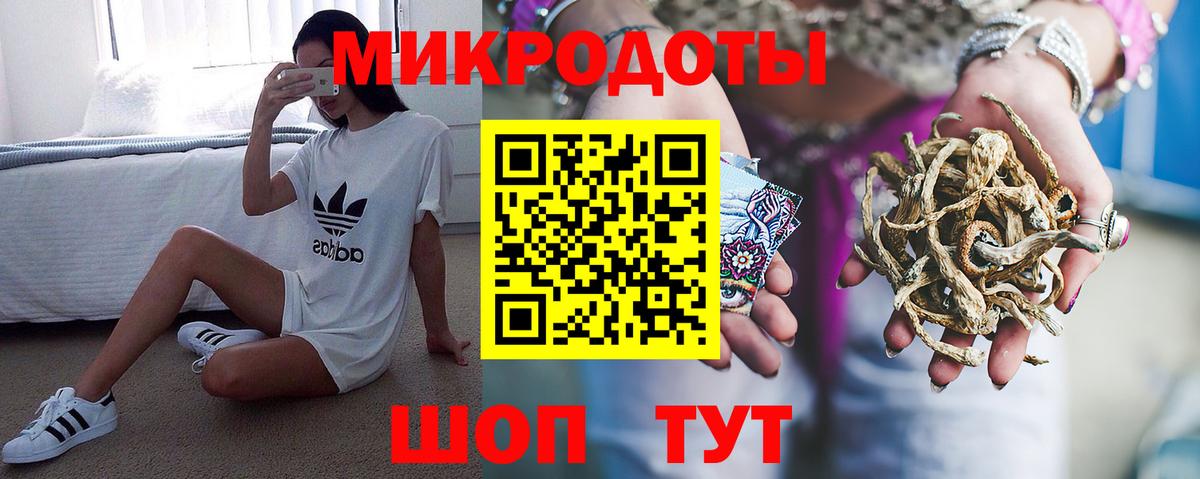 Тавда  Галлюциногенные грибы Psilocybine cubensis  Вход с VPN 